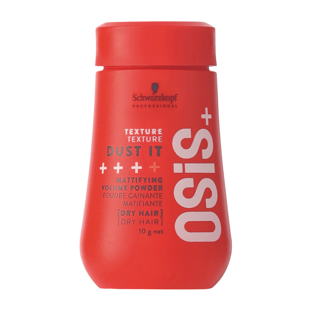 オージス ダストイット 10g